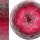 Bobbel Wilde Rosen 4fach - 400g /1520m