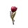 Brosche Tulpe