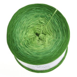 LiLu´s Farbverlaufsgarn Knallfrosch 5Fädig  Farn außen 5fach - 200g/600m