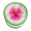 LiLu´s Farbverlaufsgarn Blütenzauber Froschgrün außen 4fach - 400g /1520m