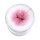 LiLu´s Farbverlaufsgarn Rosenwölkchen Anemone außen 4fach - 200g/760m