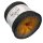 Bobbel Spooky 05 4fach - 400g /1520m