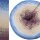 Bobbel Fata Morgana Violett außen -4fach - 400g /1520m